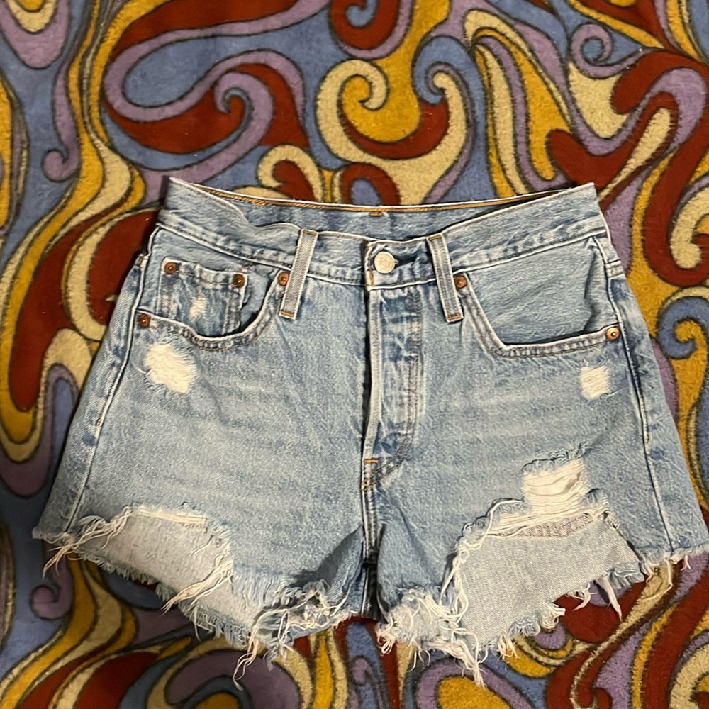 Levi’s Denim Cutoff Shorts (25)